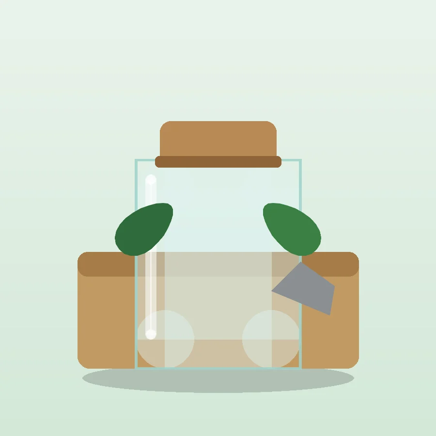 DIY Closed Terrarium Starter Kit