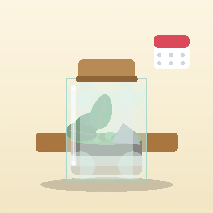 Build-your-own Terrarium Workshop (2 h)