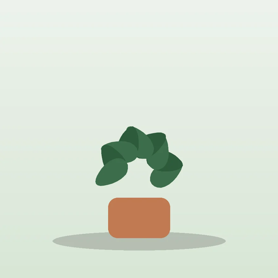 Peperomia caperata Ripple