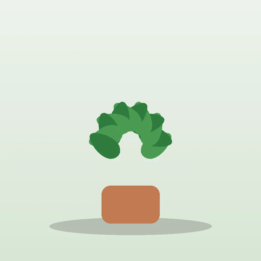 Creeping Fig (Ficus pumila)