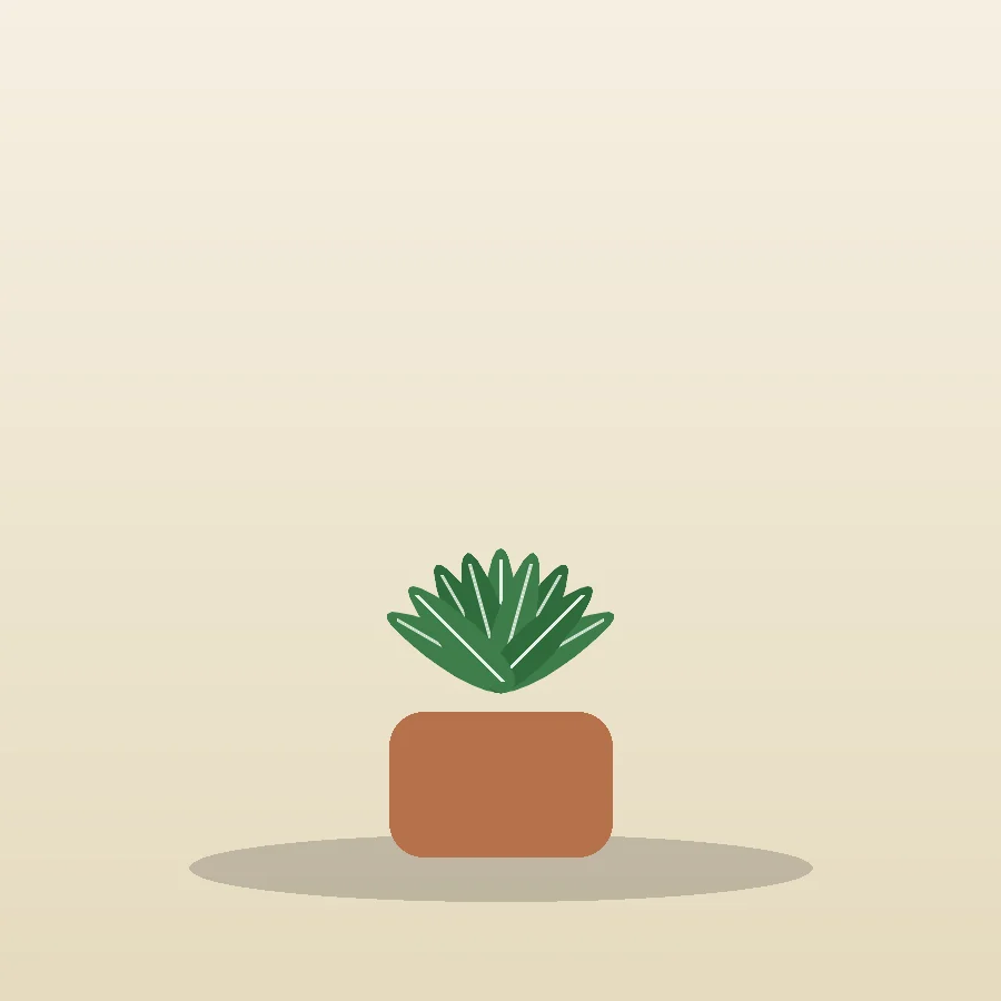 Haworthia Zebra Plant