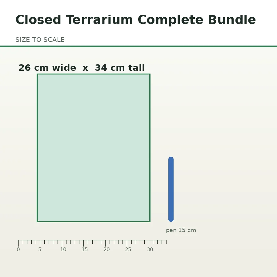 Closed Terrarium Complete Bundle