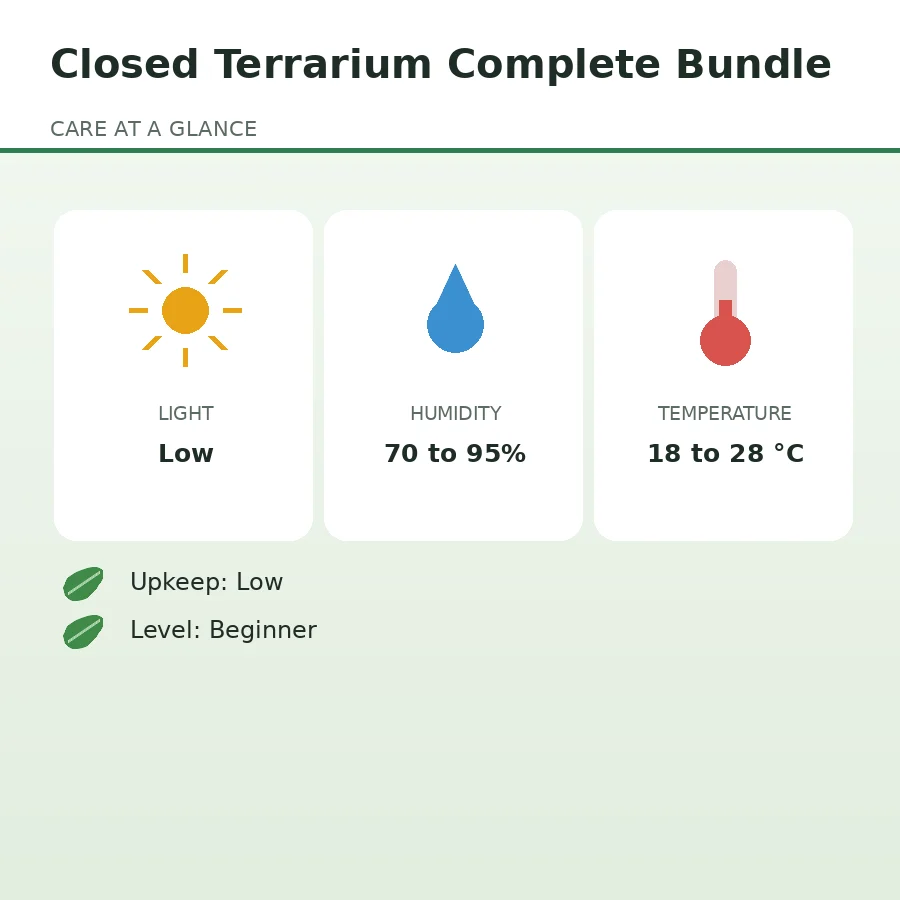 Closed Terrarium Complete Bundle