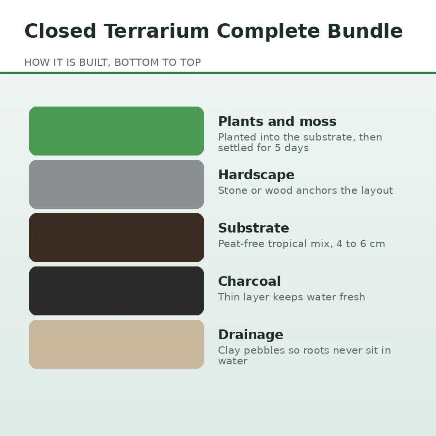 Closed Terrarium Complete Bundle