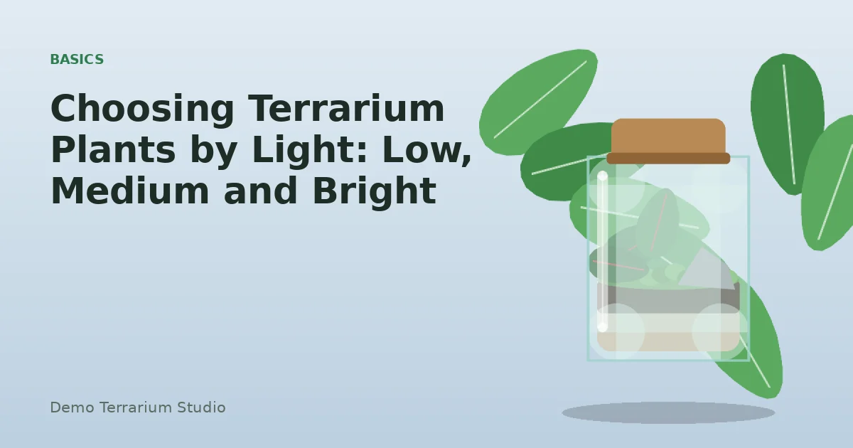 Choosing Terrarium Plants by Light: Low, Medium and Bright